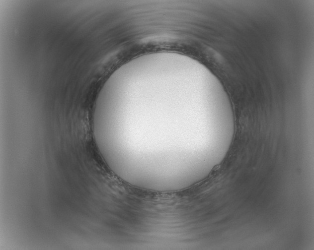 X0000063521062200602101945