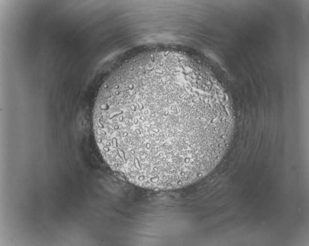 X0000063521063200602101945