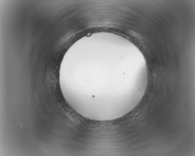 X0000063521064200602101945