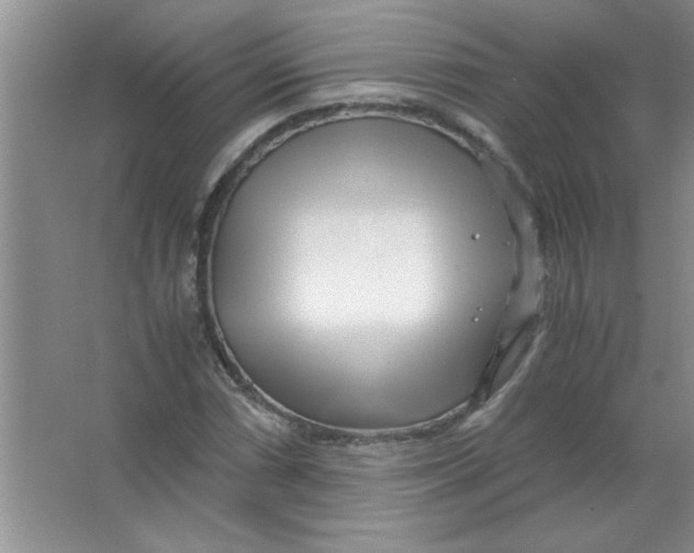 X0000063521066200602101945