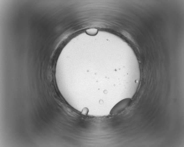 X0000063521067200602101945