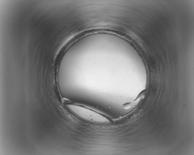 X0000063521069200602101945