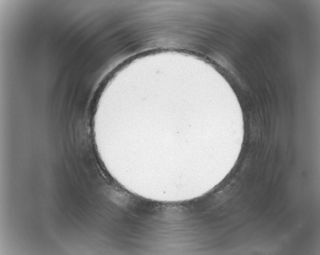 X0000063521070200602101945