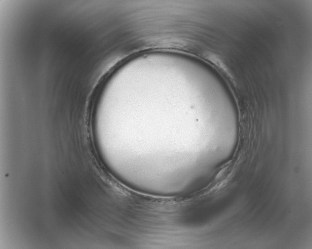 X0000063521071200602101945