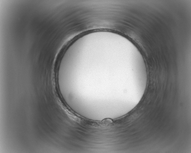 X0000063521072200602101945