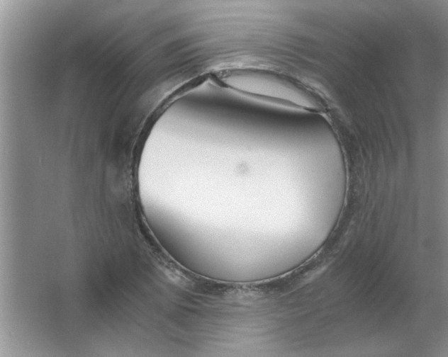 X0000063521073200602101945