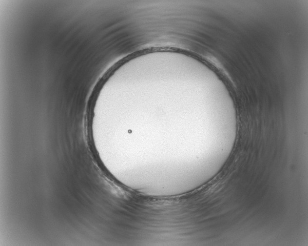 X0000063521076200602101945