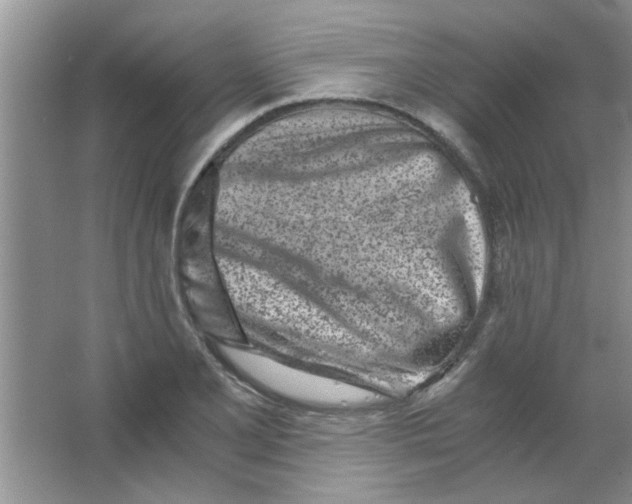 X0000063521077200602101945