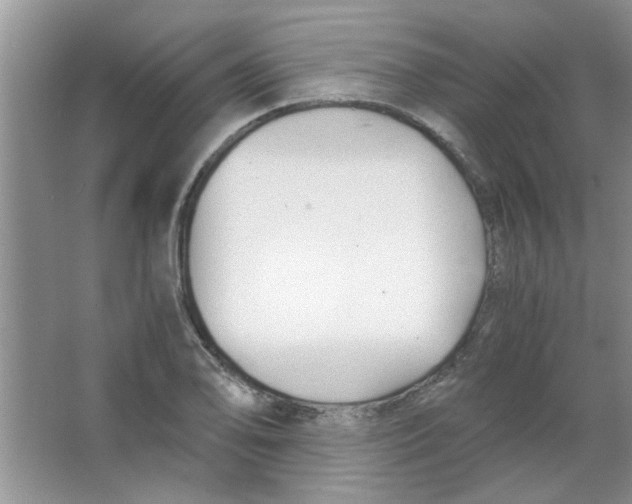 X0000063521078200602101945