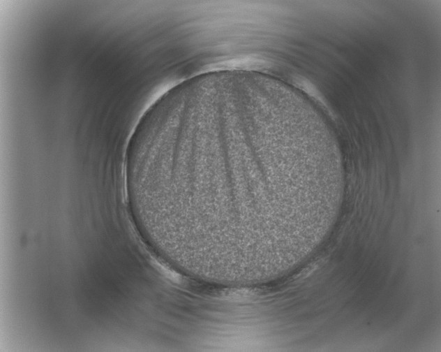 X0000063521079200602101945