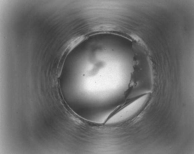 X0000063521081200602101945