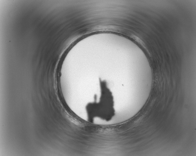 X0000063521082200602101945