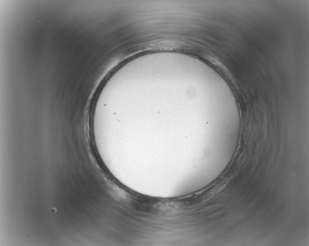 X0000063521083200602101945