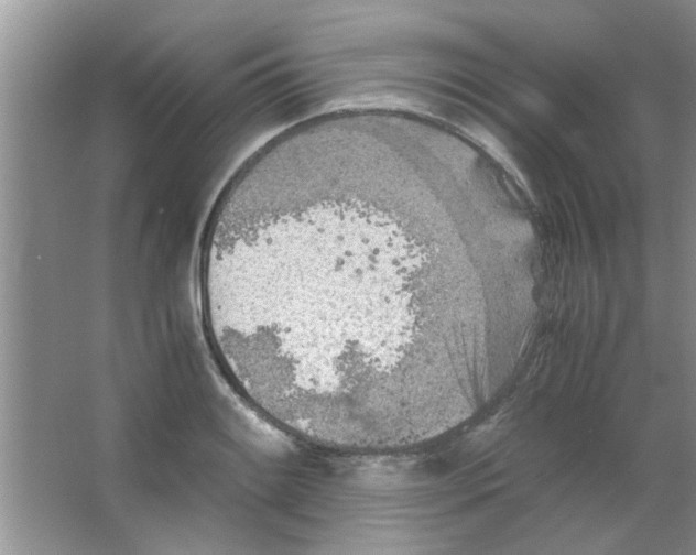 X0000063521084200602101945