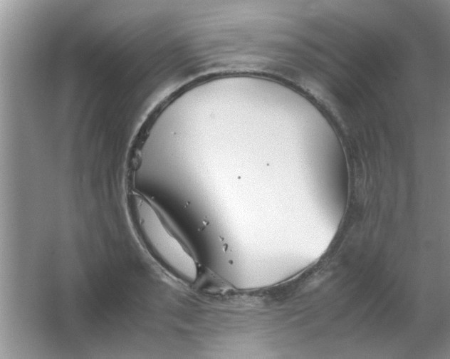 X0000063521085200602101945