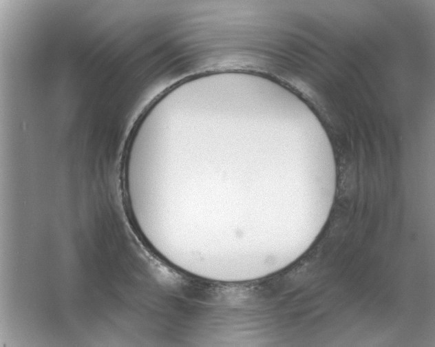 X0000063521086200602101945