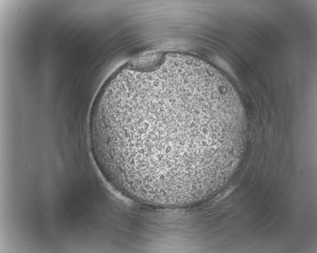 X0000063521087200602101945