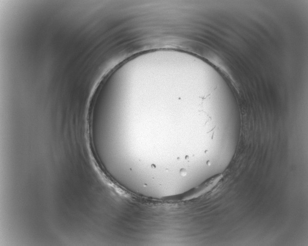 X0000063521088200602101945