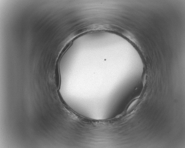 X0000063521089200602101945