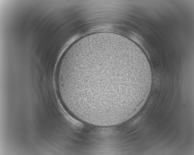 X0000063521090200602101945