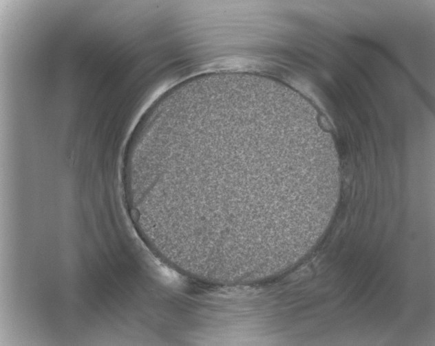 X0000063521091200602101945