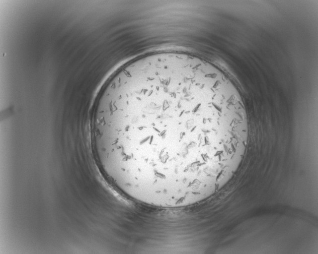 X0000063521092200602101945