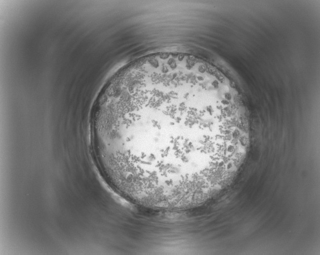 X0000063521095200602101945