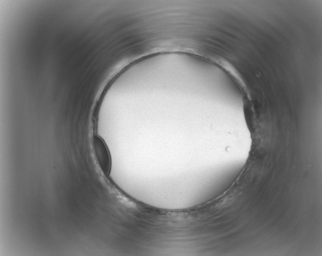 X0000063521096200602101945