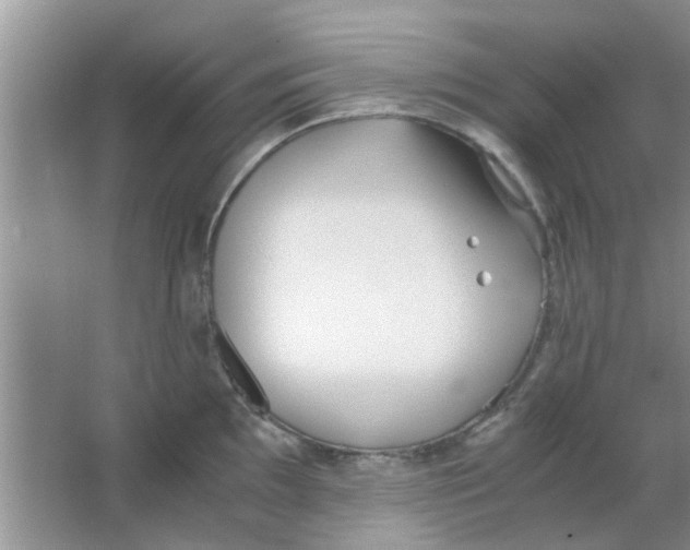 X0000063521097200602101945