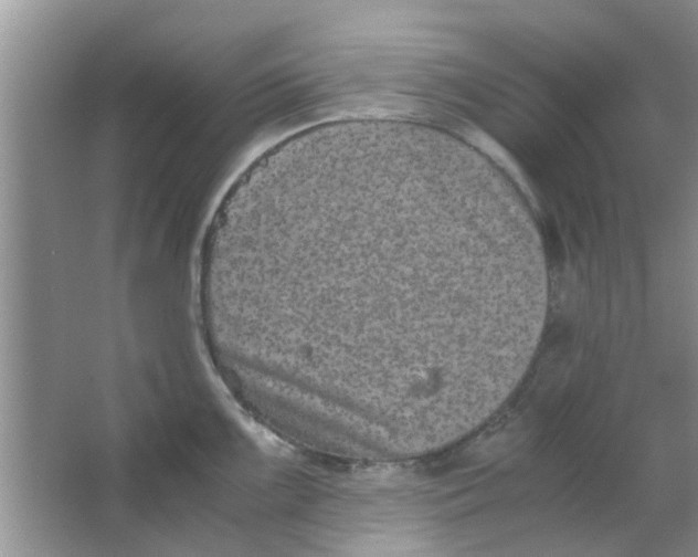 X0000063521099200602101945