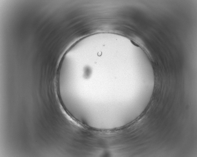 X0000063521100200602101945