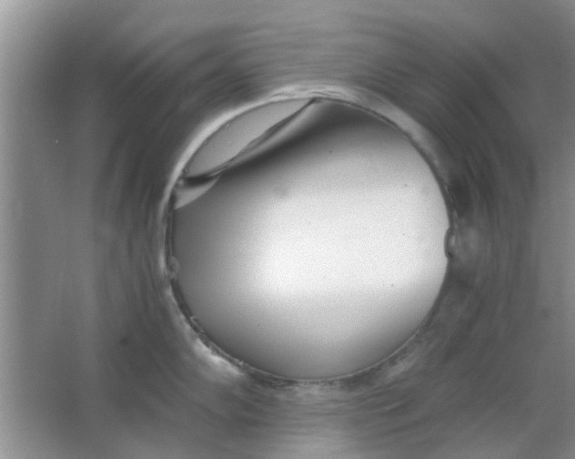 X0000063521102200602101945