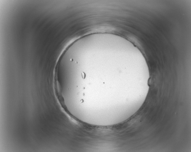 X0000063521103200602101945