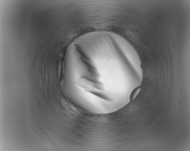 X0000063521106200602101944