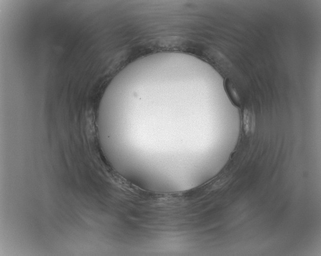 X0000063521107200602101944