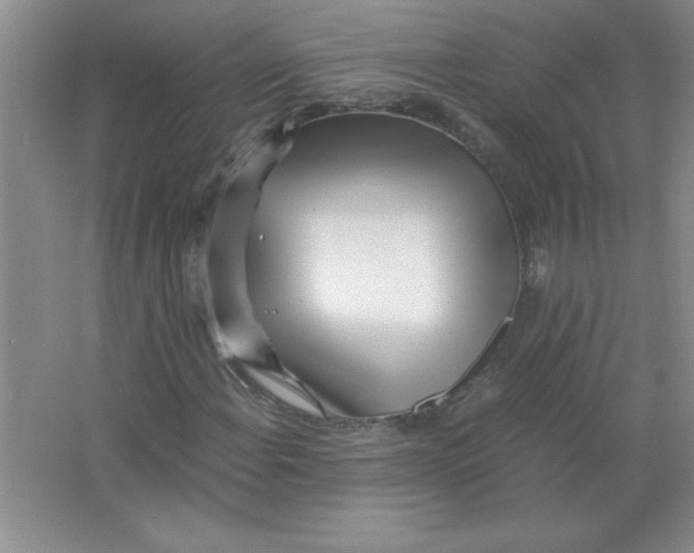 X0000063521108200602101944