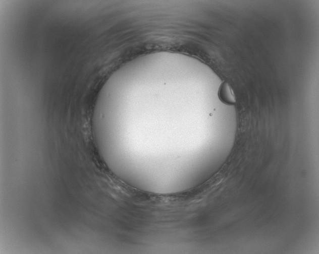 X0000063521109200602101944