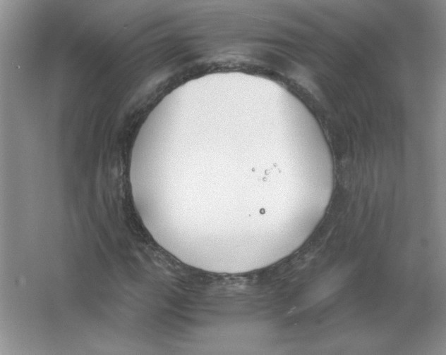 X0000063521111200602101944