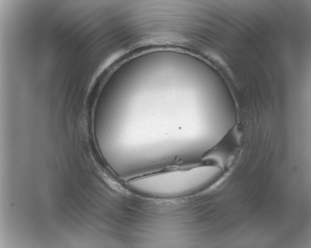 X0000063521114200602101944