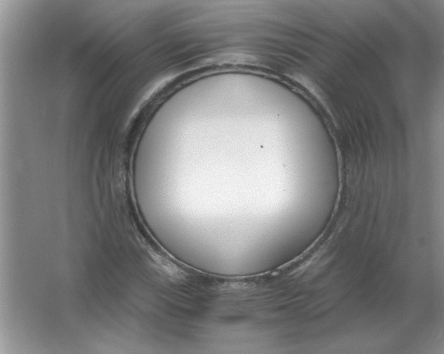 X0000063521115200602101944