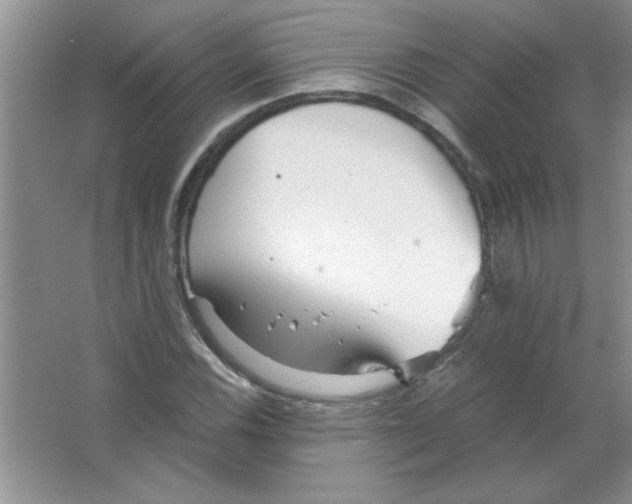 X0000063521116200602101944