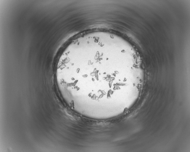 X0000063521117200602101944