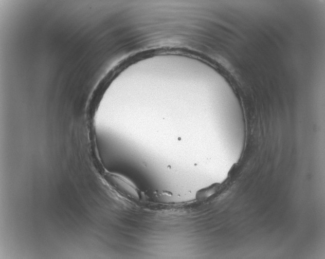 X0000063521118200602101944