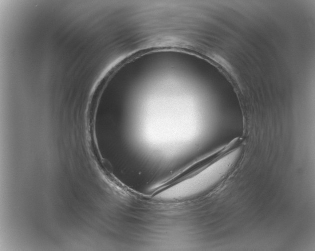 X0000063521120200602101944