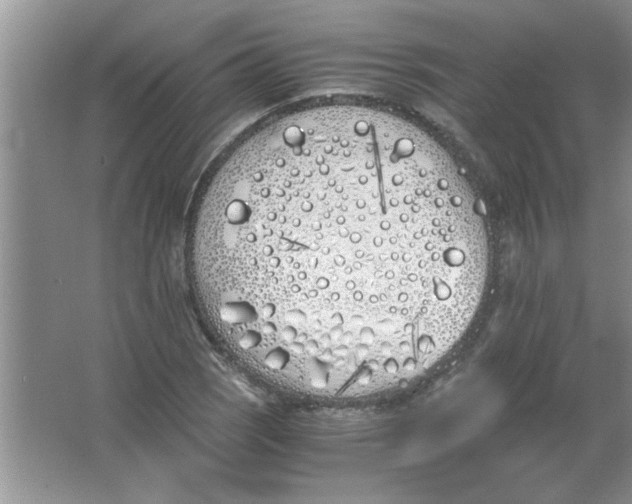 X0000063521121200602101944