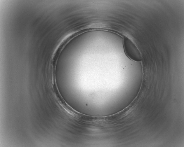 X0000063521123200602101944