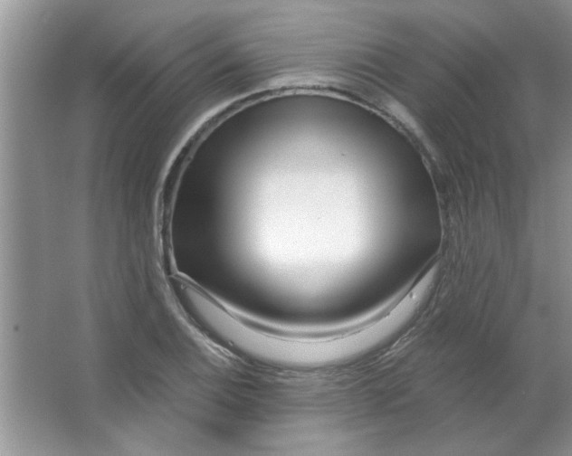 X0000063521124200602101944