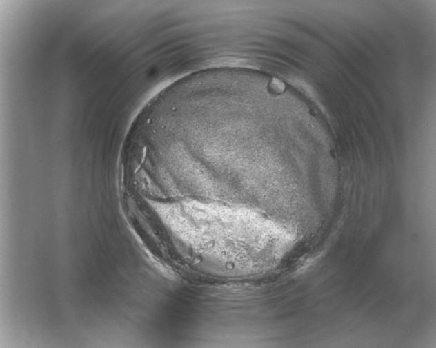 X0000063521125200602101944