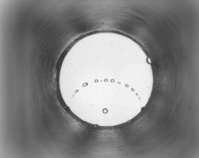 X0000063521126200602101944