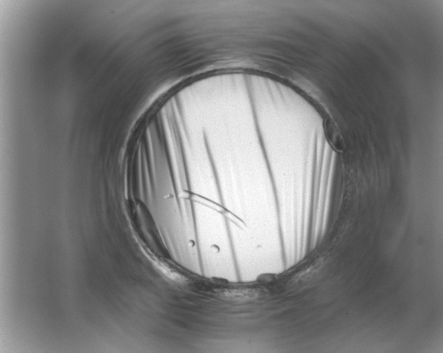 X0000063521127200602101944